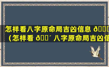 怎样看八字原命局吉凶信息 🐘 （怎样看 🌴 八字原命局吉凶信息表）